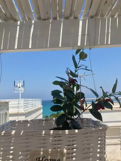 B&B Vistamareblu