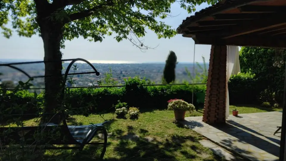Belvedere 10