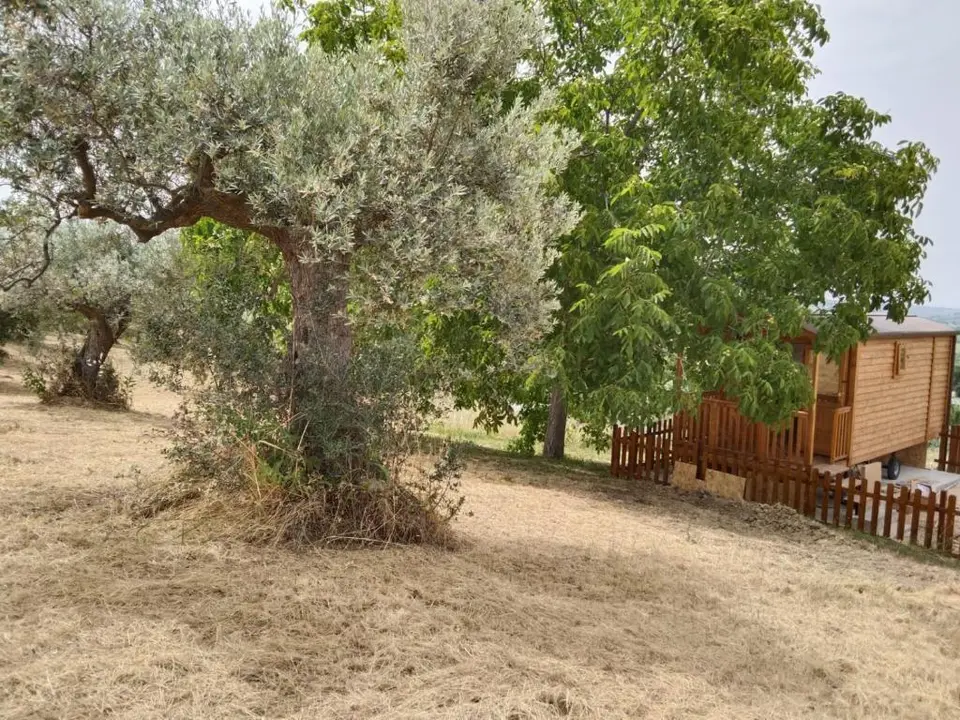 La casetta sotto l'albero La Carovana Gitana