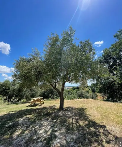 B&B La Vera Vita