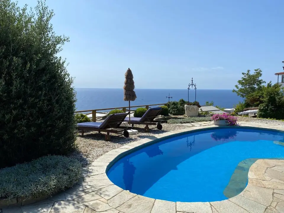 Little Paradise Apartment