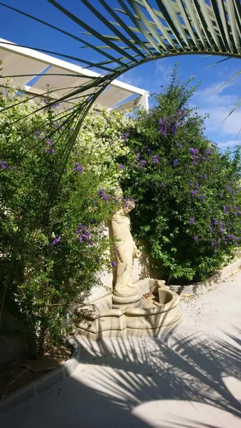 Stella dei Campi