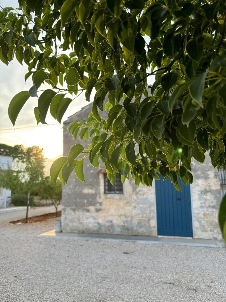 Tenuta Villa Vittoria