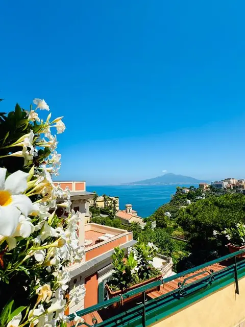 Vesuvio View