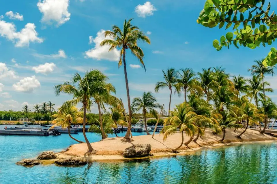 5-Night Cruise from Miami to Cayman Isles & Bimini, Bahamas