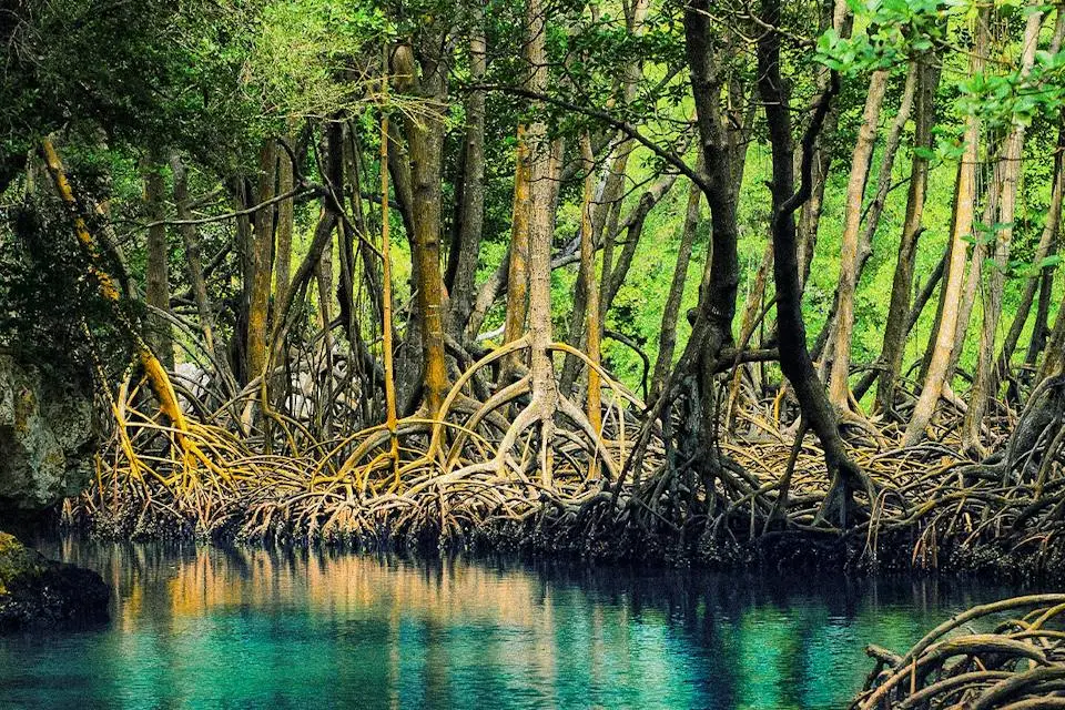 6-Night Eastern Caribbean Cruise | Winter Escape at Sea (3)