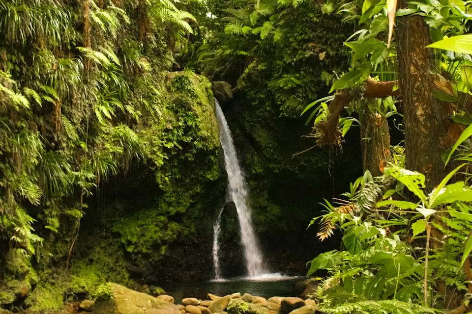8-Night Cruise from San Juan to Barbados, VI & more (3)
