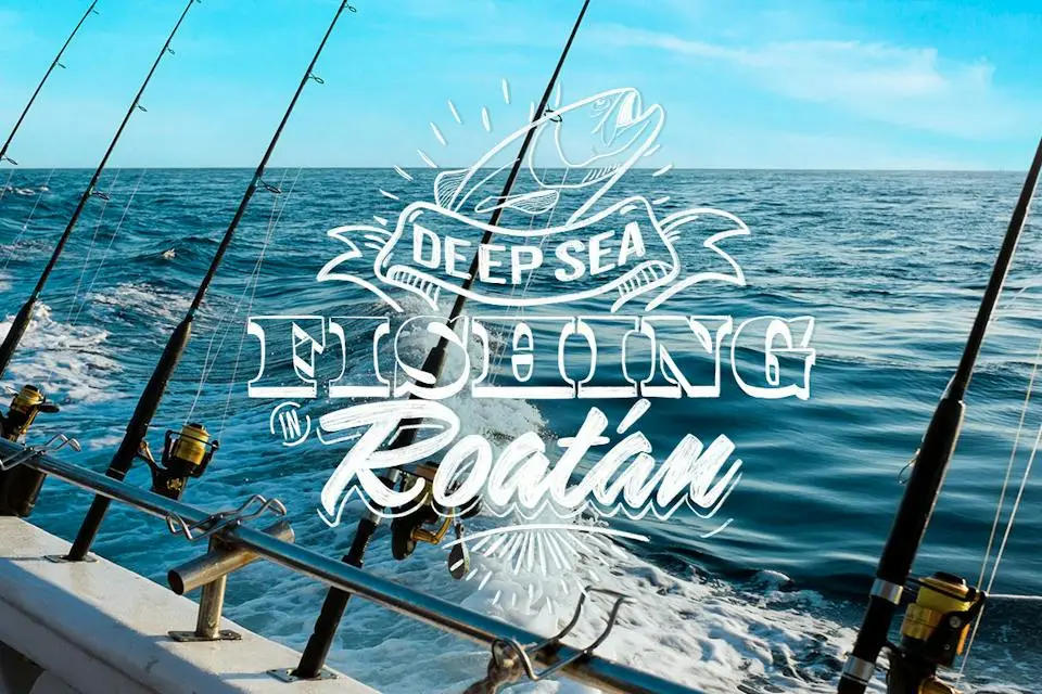 7-nights Western Caribbean & Bimini New Year's Cruise | Celebrate in Style (3)