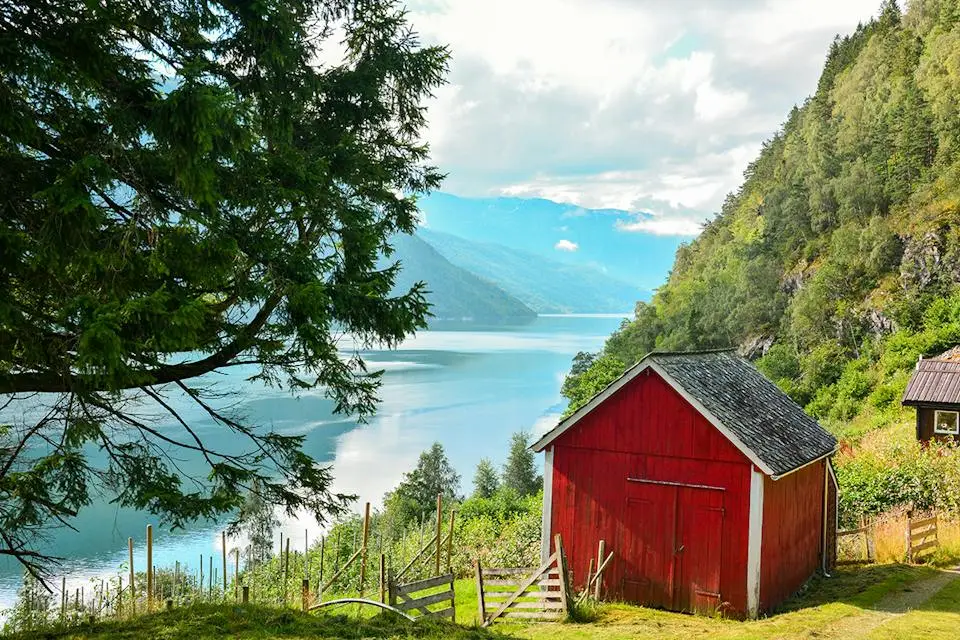 11-Nights Arctic Circle & Norwegian Fjords Cruise | August Summer Holiday (4)