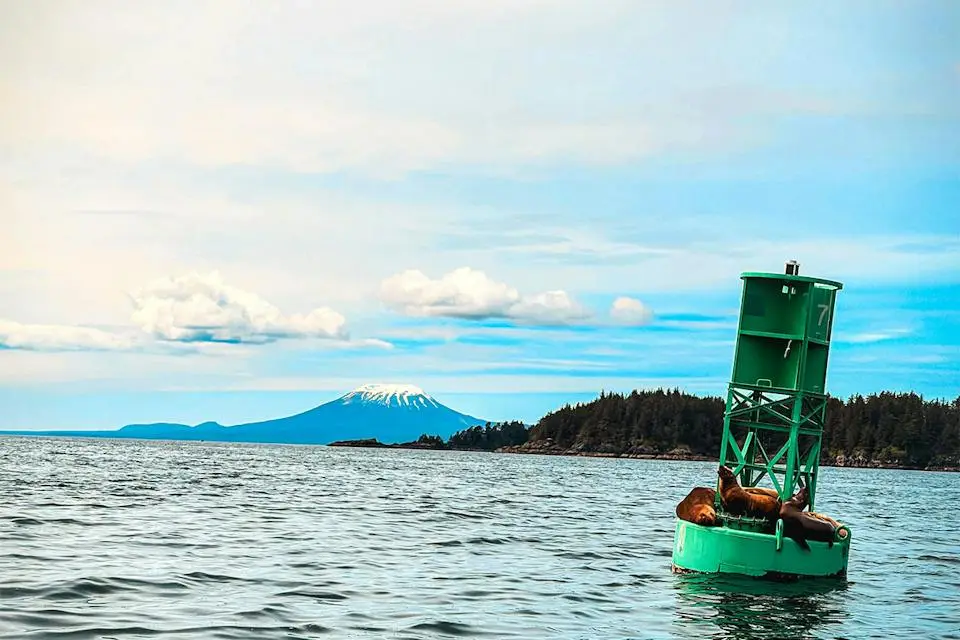 7-Nights Alaska Cruise: Inside Passage & Glacial Fjords | Summer Cruise (4)