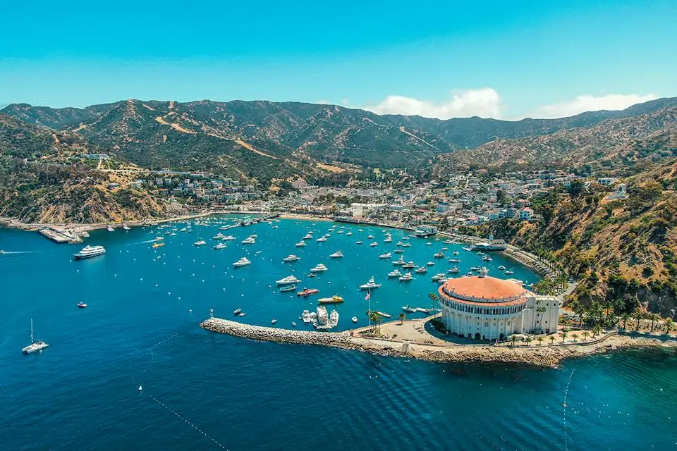 Halloween Cruise from Los Angeles to Mexico | Adults-Only (3)
