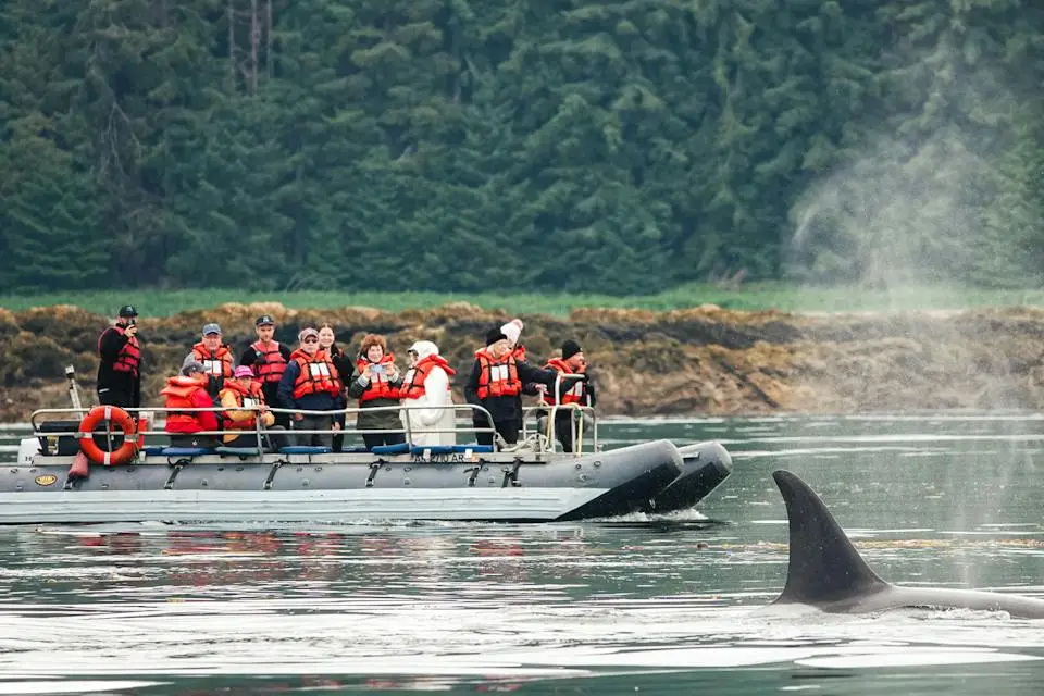 Alaska Cruise | Seattle Roundtrip - 7 Nights of Adventure (2)