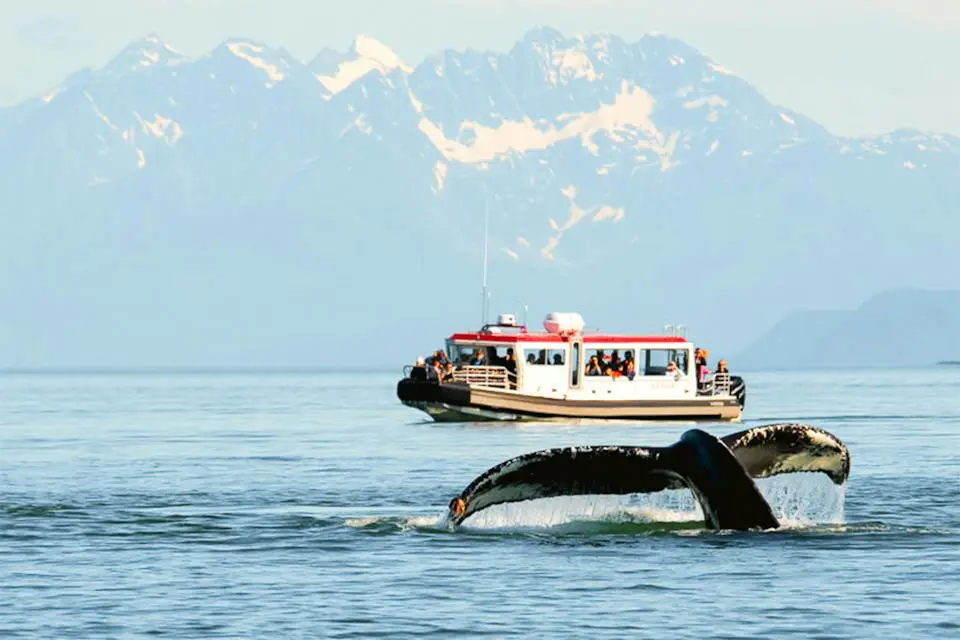 7-Nights Alaska Cruise: Inside Passage, Fjords & Juneau | Summer Cruise (4)