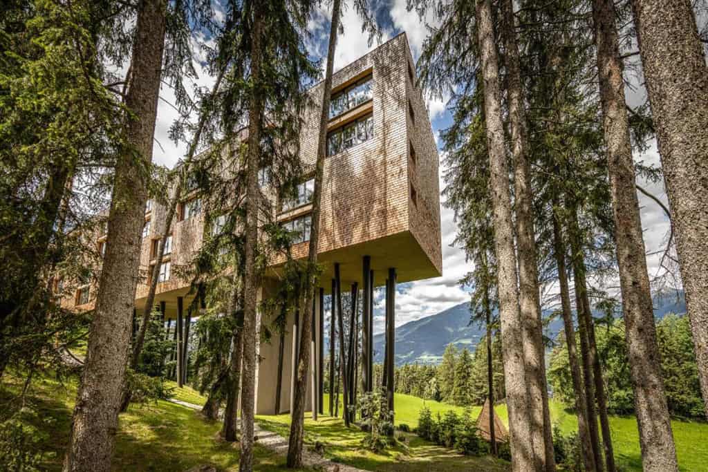 My Arbor - Dolomites
