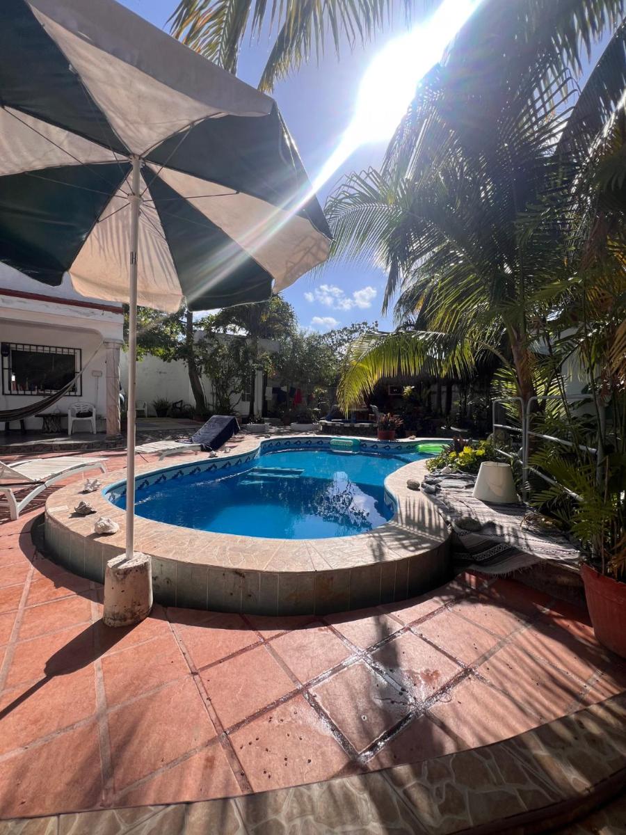 Casamaya Hostel & Diving
