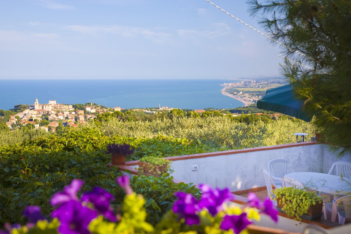 Conero Terrace