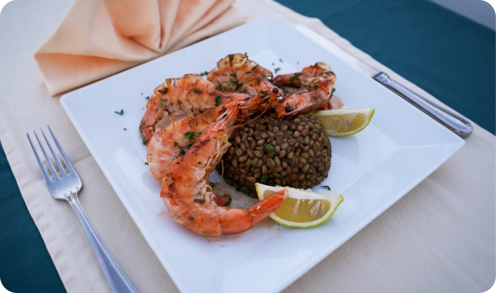 Camel Dive Club & Boutique Hotel
