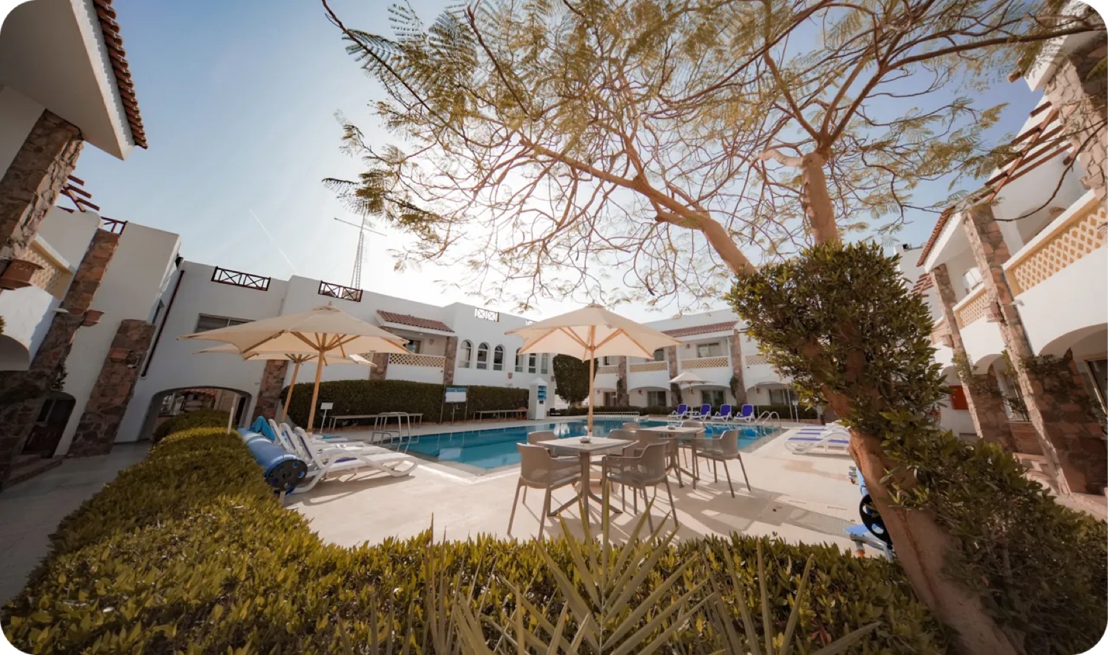 Camel Dive Club & Boutique Hotel