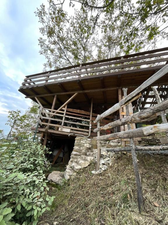 Eva's Tree House by Villa Elaisa
