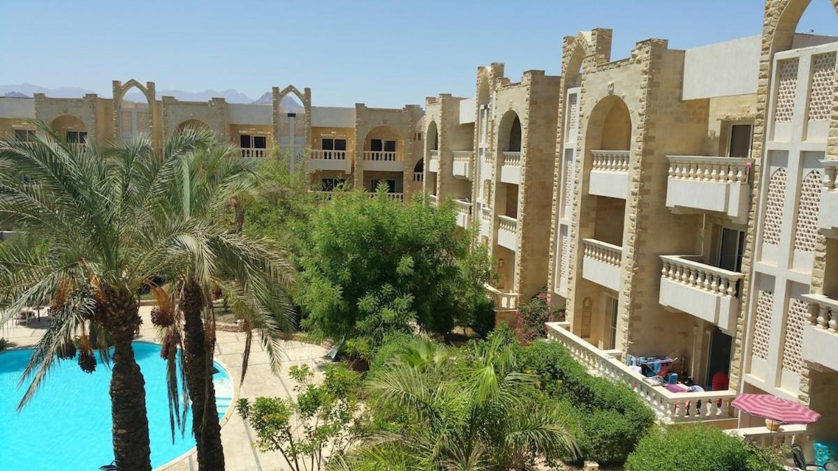 Modern one bedroom apartment in Vip Zone Sunny Lakes