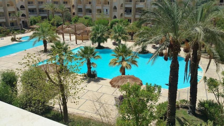 Modern one bedroom apartment in Vip Zone Sunny Lakes