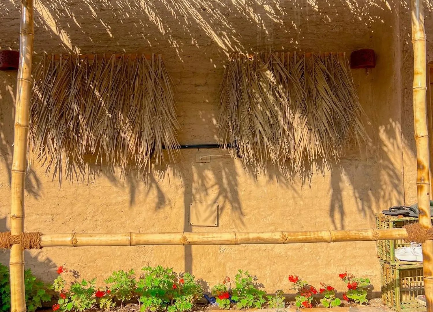 Rafiki Oasis