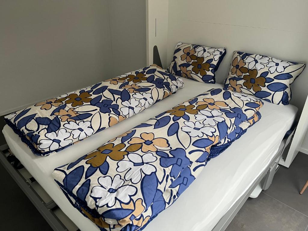 Neue Wohnung in der Nähe vom Oeschinensee und der Jungfrau Region