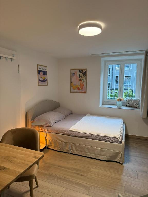 Smartroom Apartment in Zürich