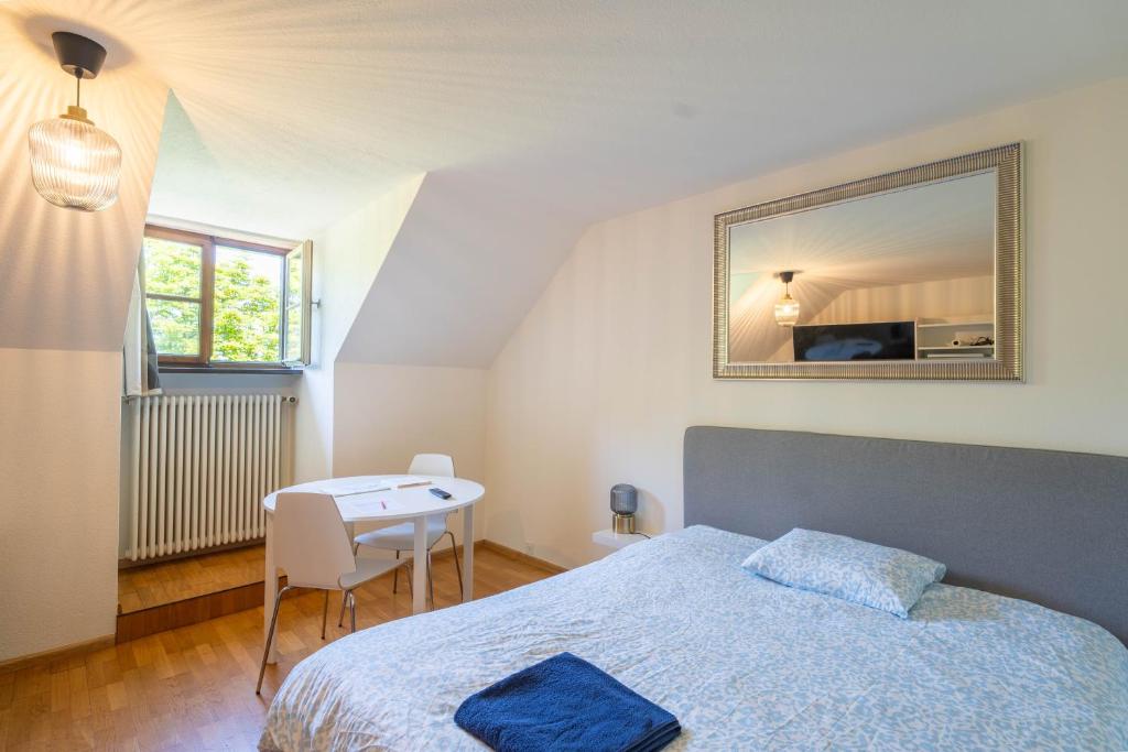 Studio 8 Rhine View - Quiet and Cozy - 10min Walk to City Center, 15min to Main Station